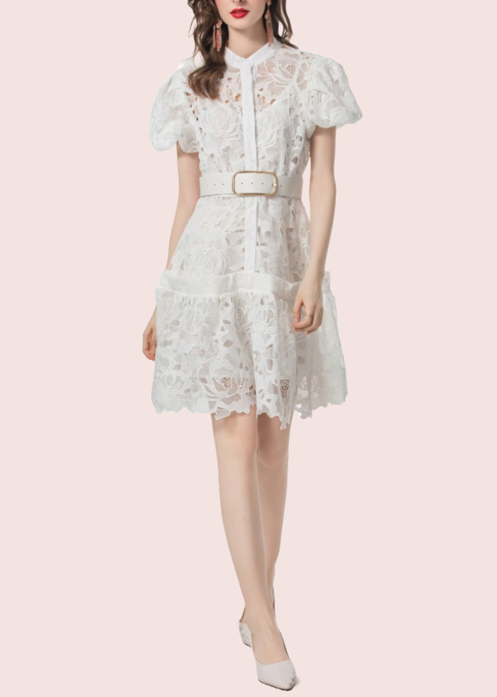 Puffed Sleeves Lace Mini Dress