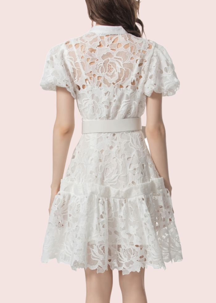 Puffed Sleeves Lace Mini Dress