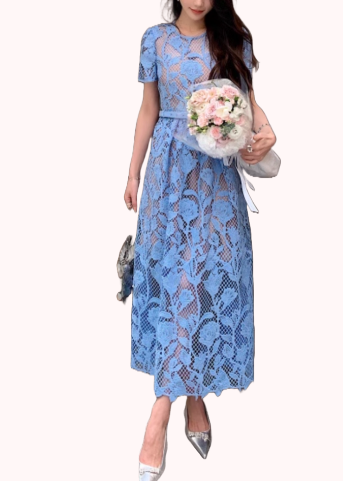 Short Sleeves Guipure Lace Maxi Dress – Frockalicious