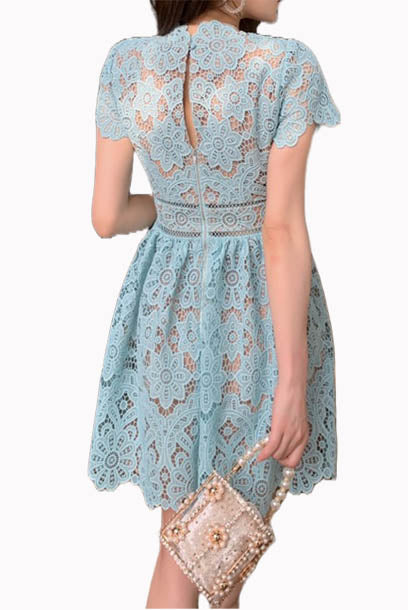 Short Sleeves Floral Guipure Lace Mini Dress