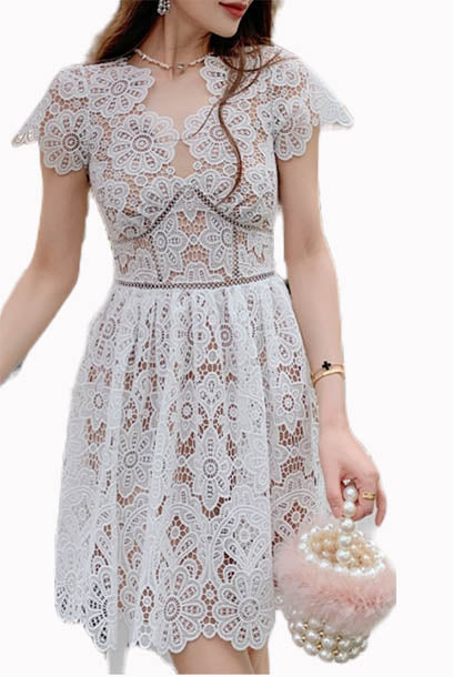Short Sleeves Floral Guipure Lace Mini Dress