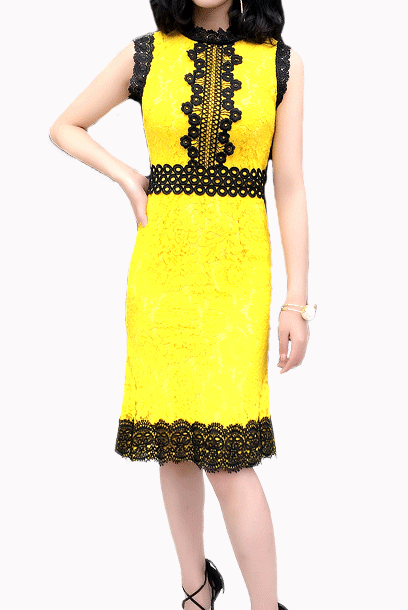 Sleeveless Two Tone Floral Lace Cocktail Dress