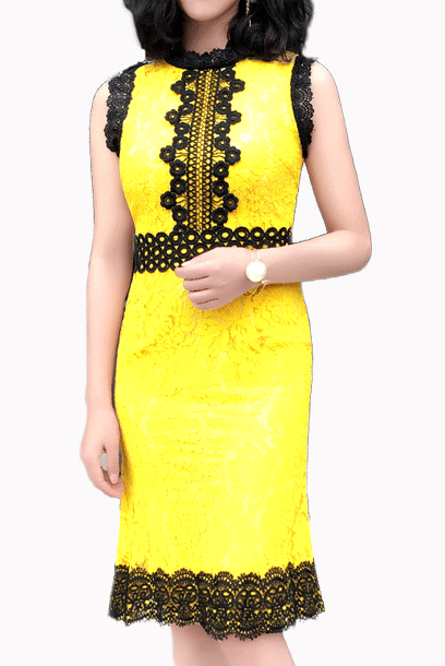 Sleeveless Two Tone Floral Lace Cocktail Dress