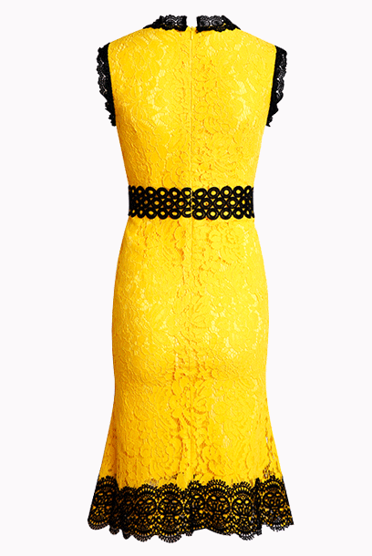 Sleeveless Two Tone Floral Lace Cocktail Dress