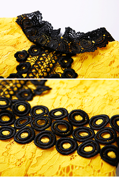 Sleeveless Two Tone Floral Lace Cocktail Dress