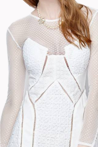 Panelled Dress With Mesh Bodice & Sleeves