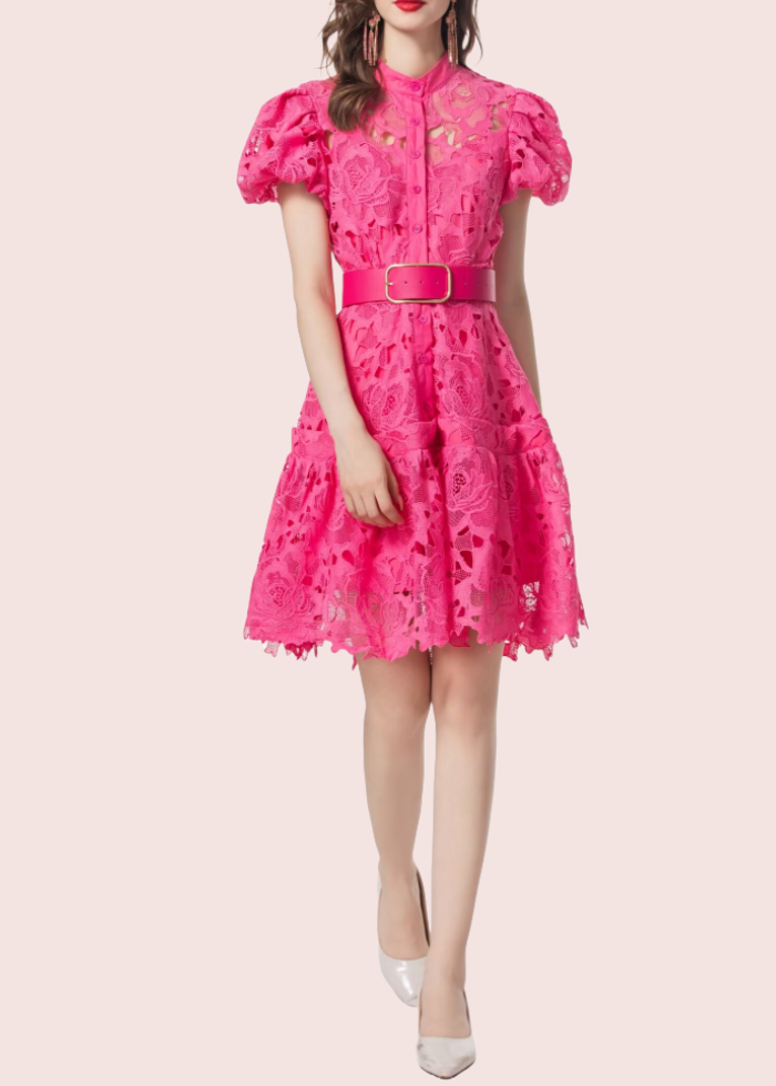 Puffed Sleeves Lace Mini Dress
