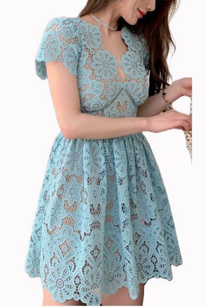 Short Sleeves Floral Guipure Lace Mini Dress