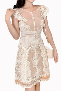 Sleeveless Lace Mini Dress
