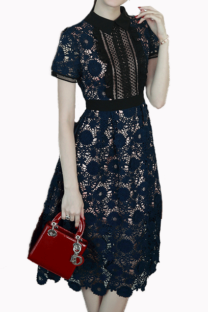 Short Sleeves Guipure Lace Midi Dress