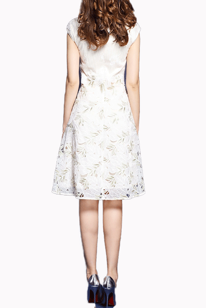 Cap Sleeves Champagne Skater Lace Cheongsam Dress