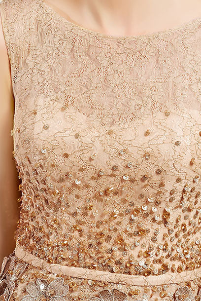 Sleeveless Gold 3D Floral Lace Tulle Evening Gown