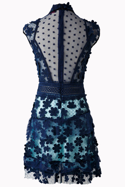 3D Floral Applique Lace Overlay Lined Mini Dress