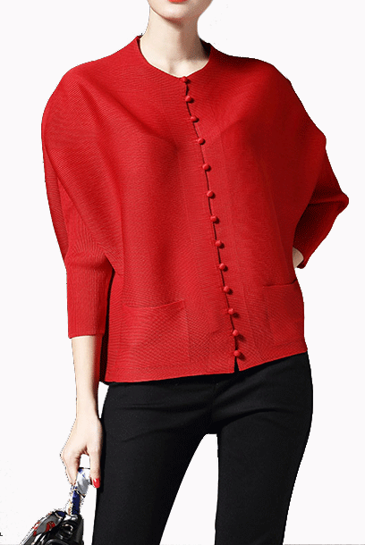 Long Sleeves Pleats Please Blouse