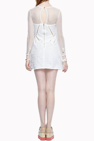 Panelled Dress With Mesh Bodice & Sleeves
